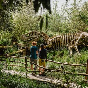 kinder-tyrannosaurus-rex-wildgarten-furth-JPG Druck_Print A5 Breite_Width 1748px (300dpi)
